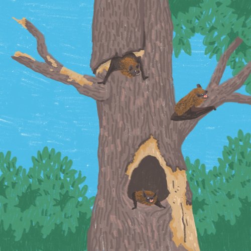 Photo post from nashwaakwatershed.