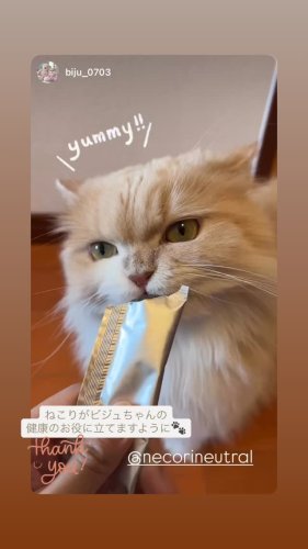 neko-ri ねこり サプリ Amazon.co.jp: 【公式】neco-ri (ねこり) 獣