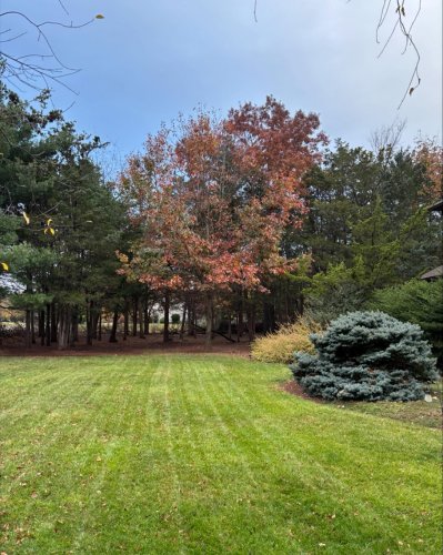 Photo post from mireade2025.