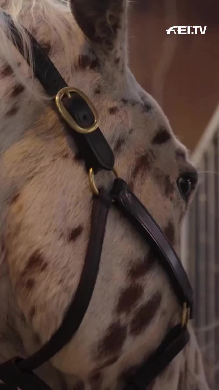 Video post from fei_global.