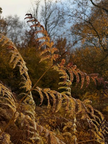 Carousel post from hiking_photographer.