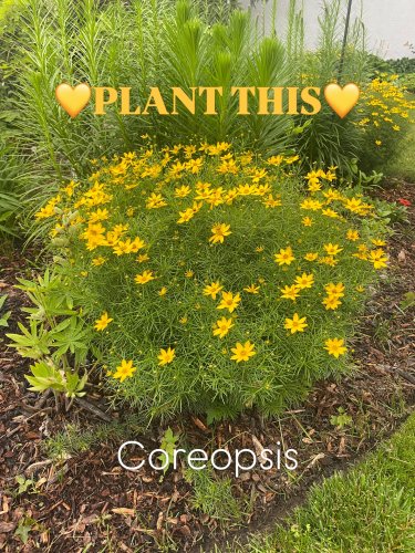 Carousel post from backyardcolumbus.