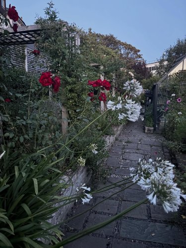 Photo post from gardenhousebrighton.