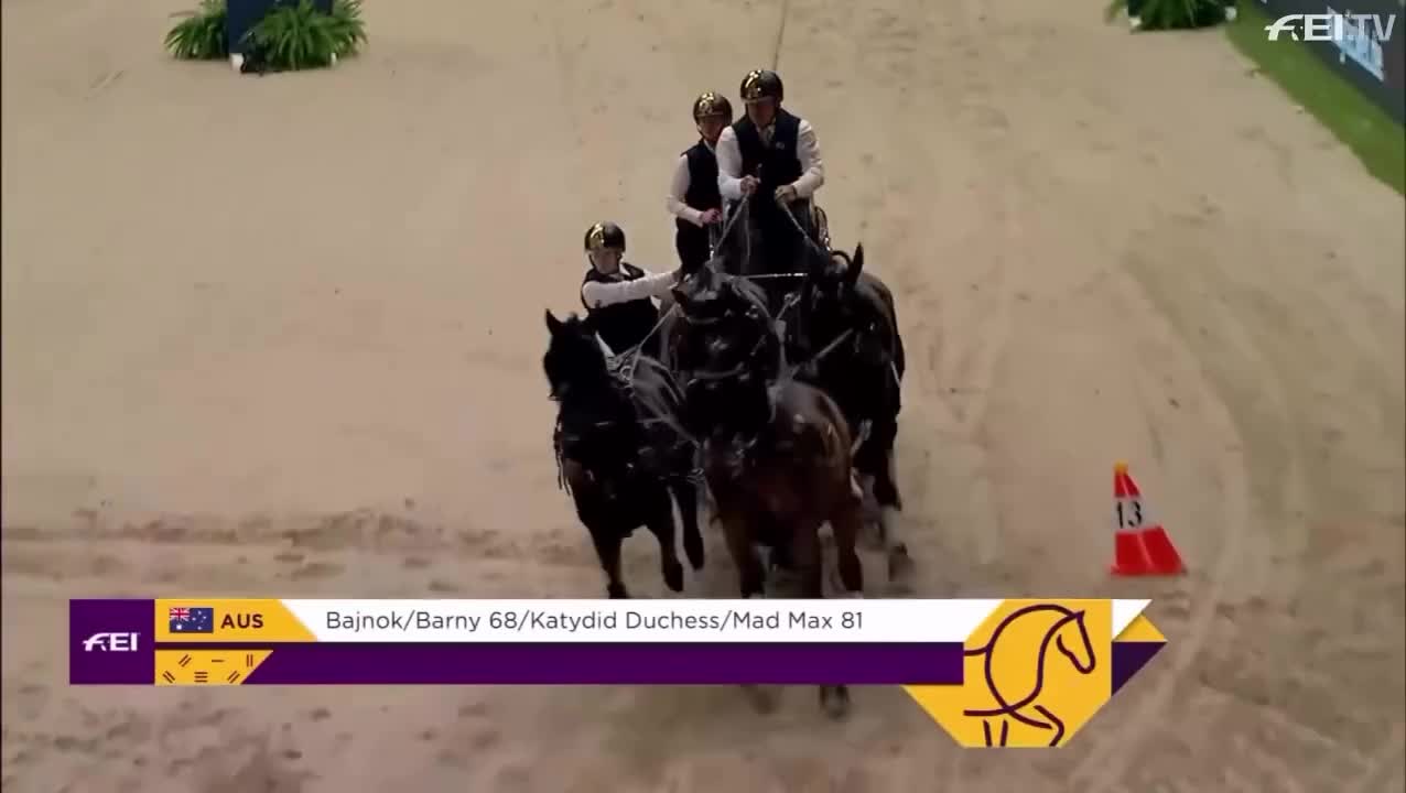 Video post from fei_global.