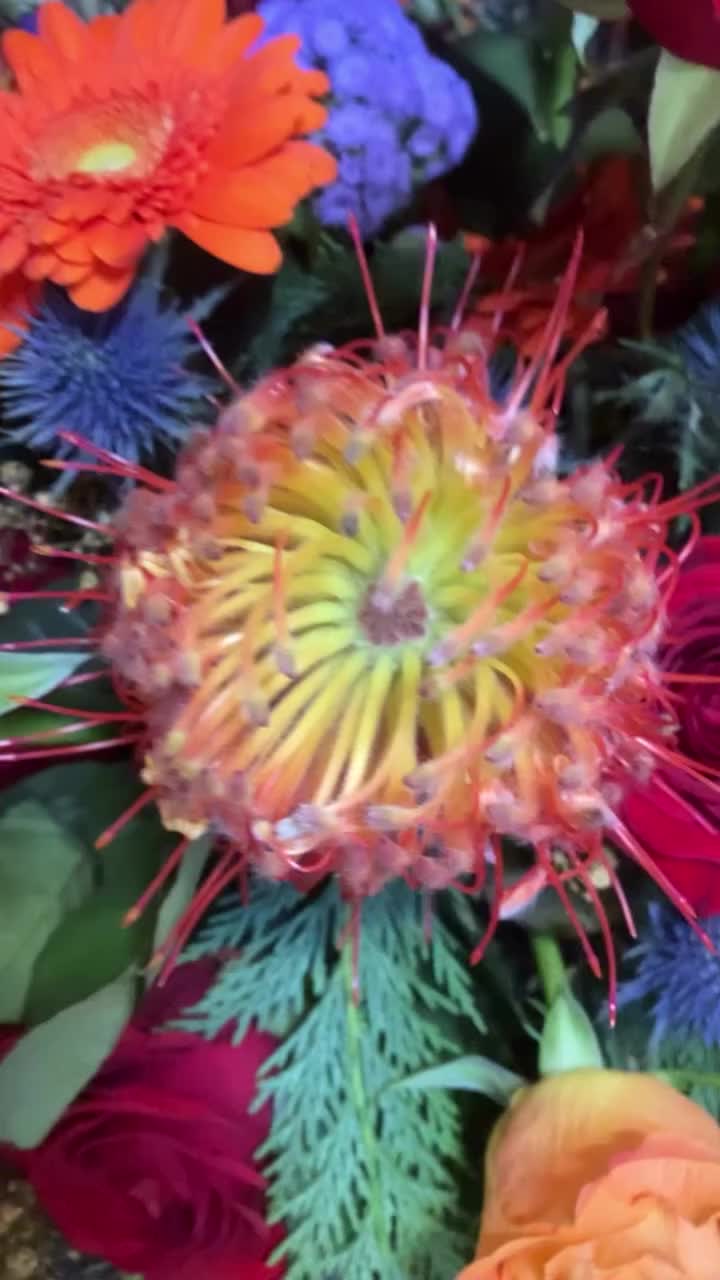 Video post from dellemannbloemen.