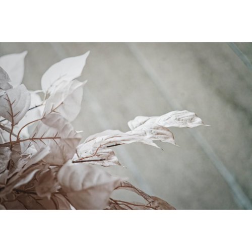 Carousel post from zhangdoa.