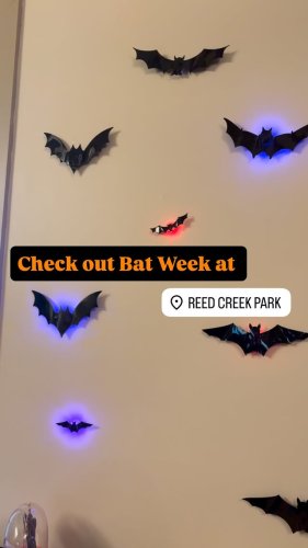 Video post from experiencecolumbiacounty.