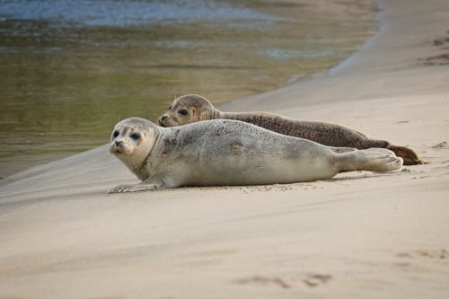 Photo post from ditiskatwijk.