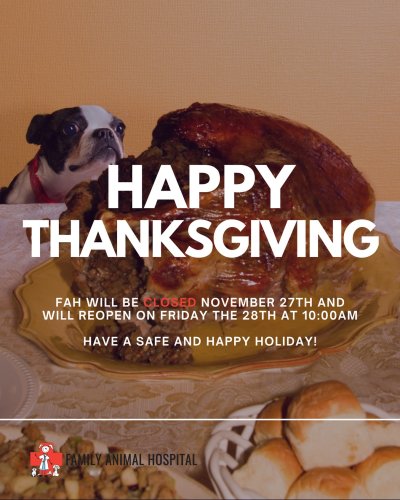 Photo post from familyanimalhospitalcm.