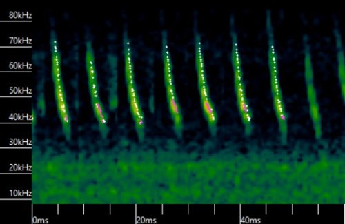 Carousel post from nsnaturetrust.