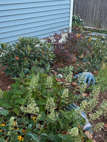 Carousel post from modernhabitats.