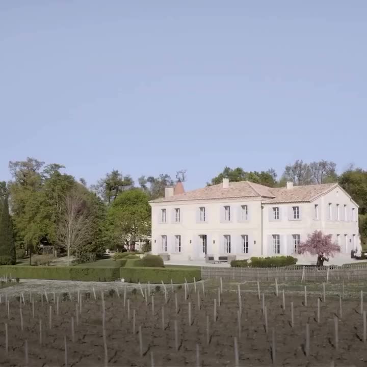 Video post from clubdvin.