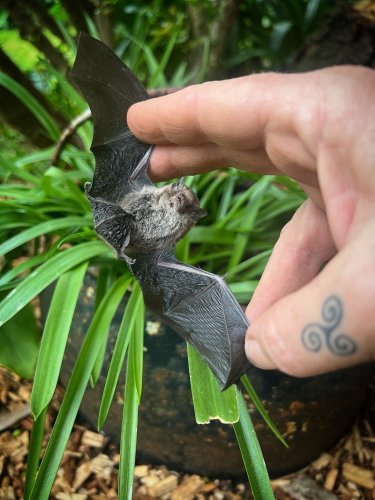 Carousel post from deceased.designs.