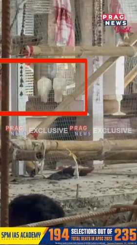 Video post from pragnewsofficial.