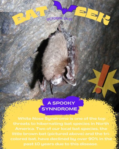 Photo post from centralalgomalandtrust.