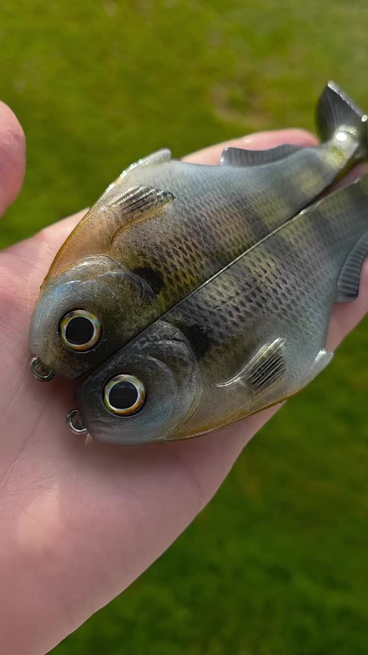 Video post from garrettscustoms.