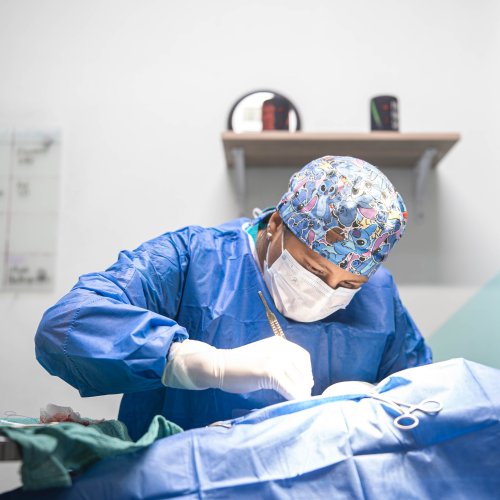 Photo post from medicalpettj.