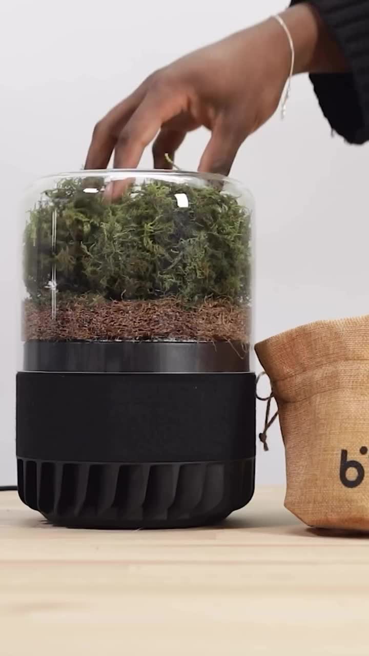 Video post from briiv.natural.