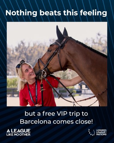 Photo post from fei_global.