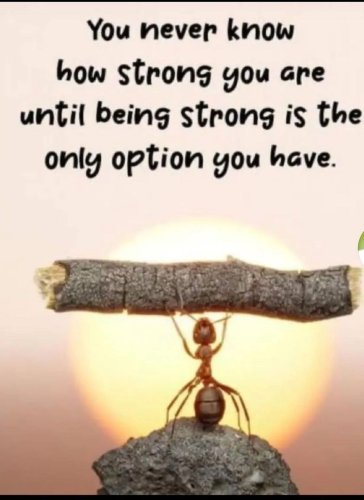 Photo post from withswatiprakash.