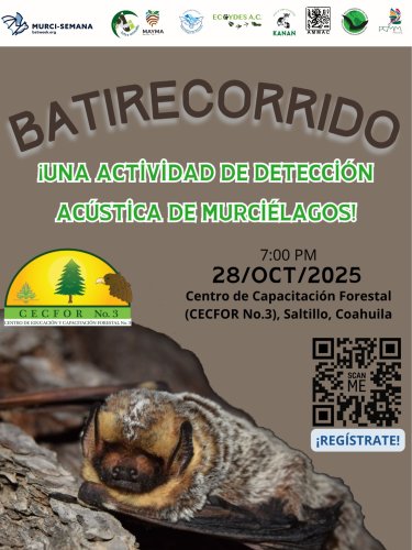 Photo post from zotzacoustic.