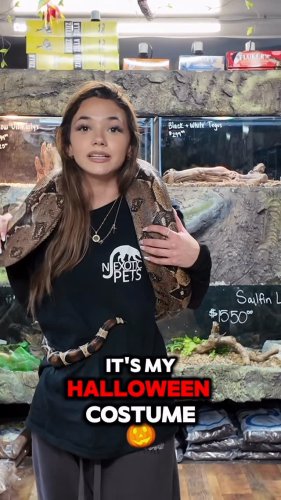 Video post from njexoticpets.