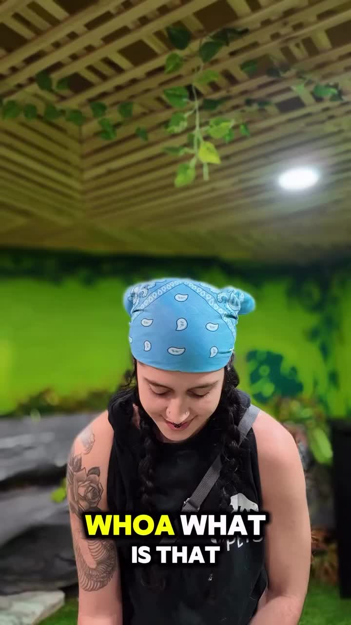 Video post from njexoticpets.