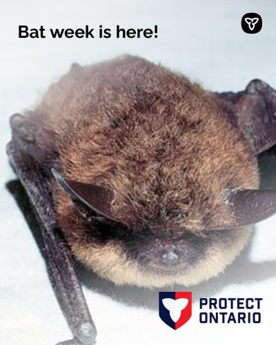 Photo post from onresources.