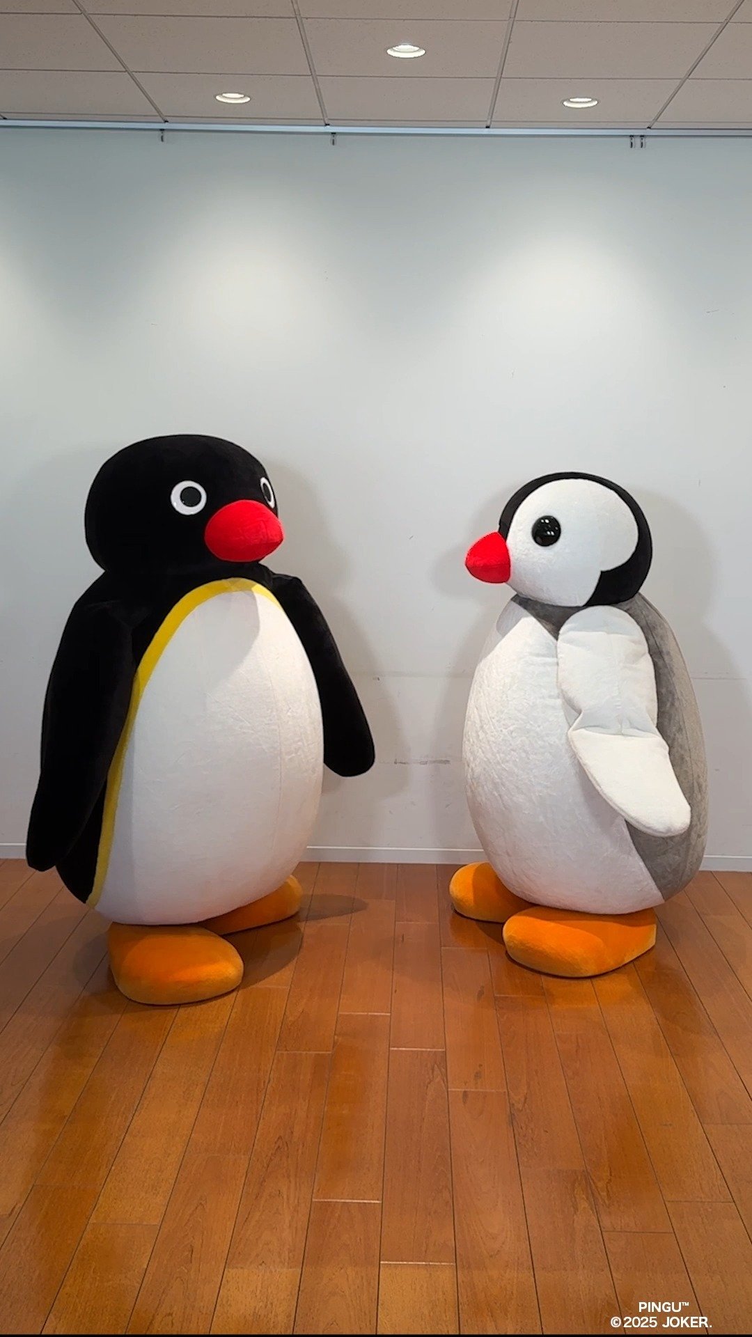 Video post from pingu_jp.