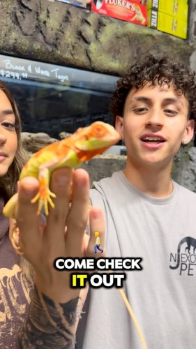 Video post from njexoticpets.