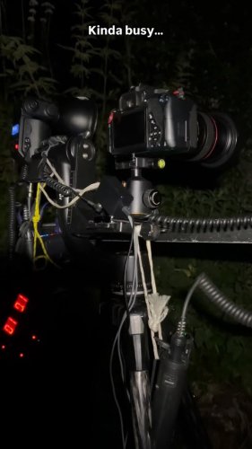 Video post from naturewithholly.