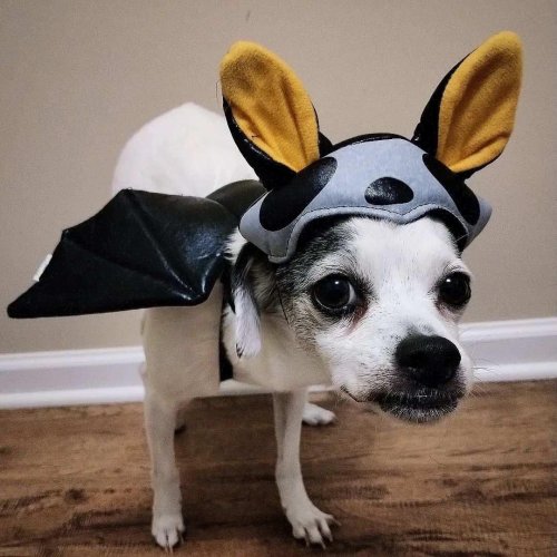 Photo post from mooovermoments.