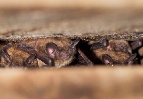 Photo post from killarneypp.