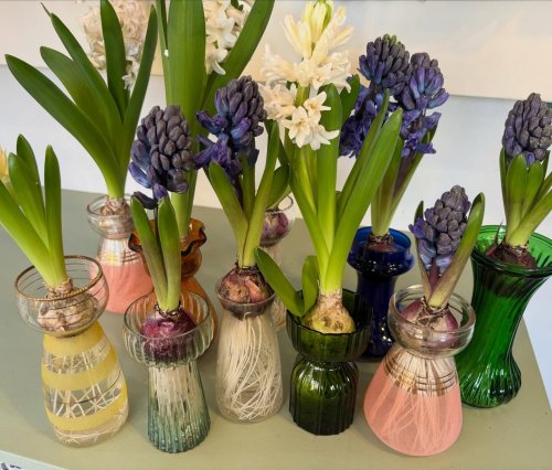 Photo post from gardenhousebrighton.