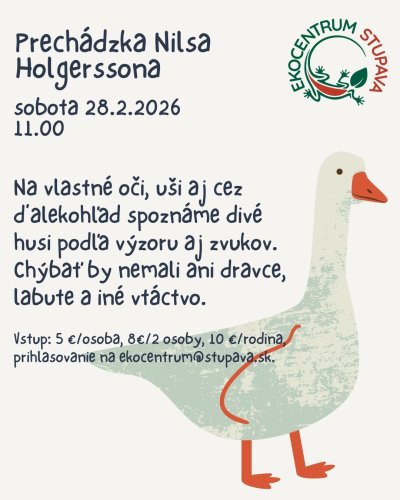 Photo post from kamzajtra.