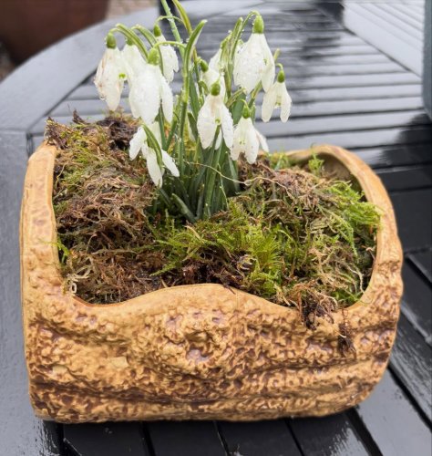 Photo post from gardenhousebrighton.