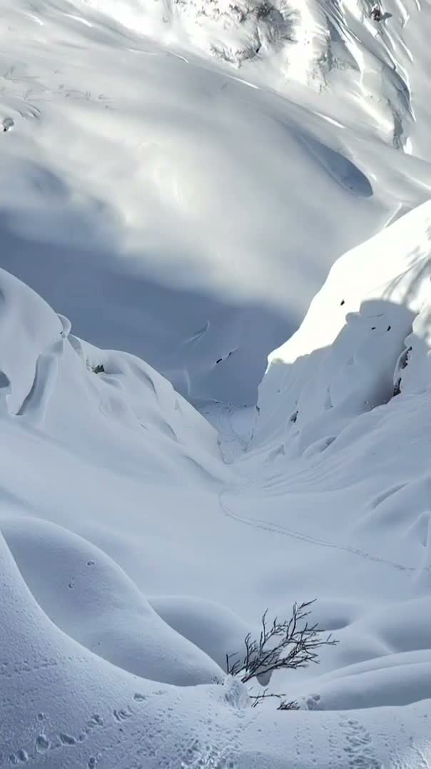 Video post from gnusnowboards.