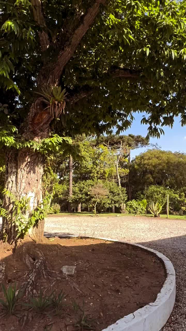 Video post from imobiliariammocelin.