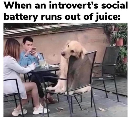 Photo post from withswatiprakash.