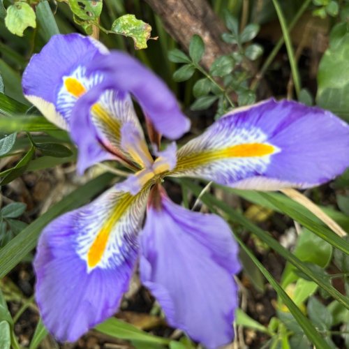 Photo post from gardenhousebrighton.