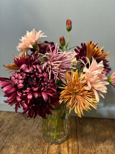 Photo post from gardenhousebrighton.