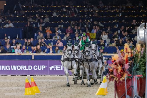 Photo post from fei_global.