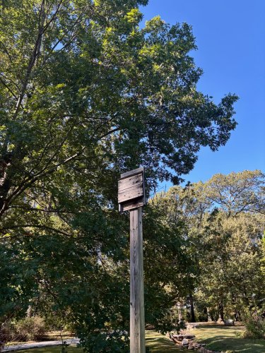 Photo post from memphisbotanic.