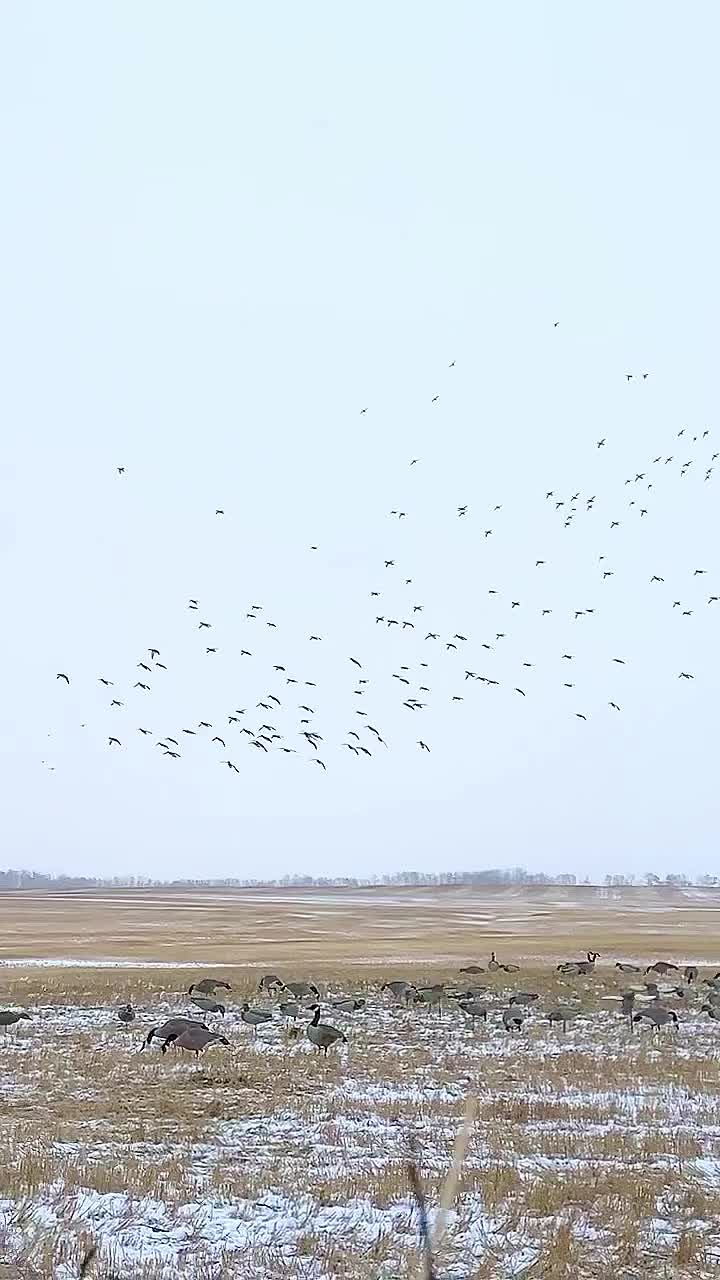 Video post from northernskiesoutfitters.