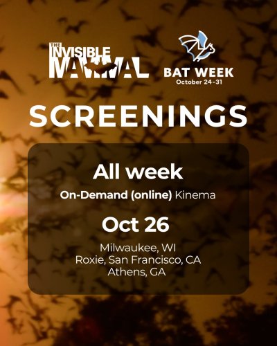 Carousel post from theinvisiblemammal.