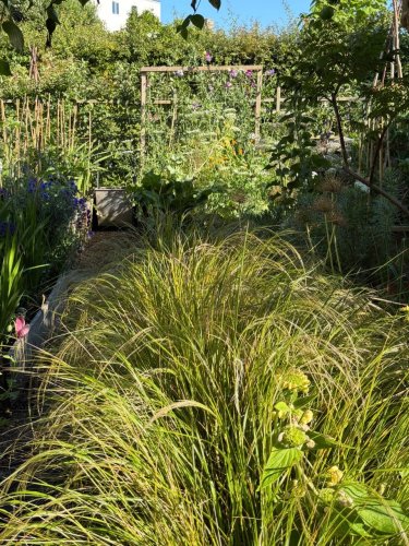 Photo post from gardenhousebrighton.