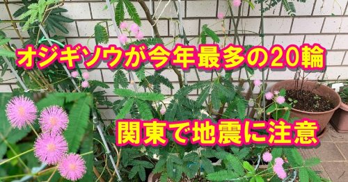 Photo post from nmomose.