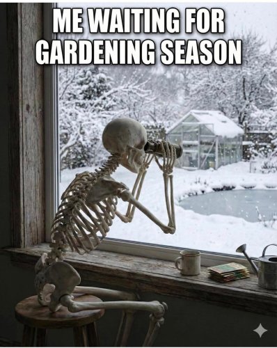 Carousel post from basyelibrary.