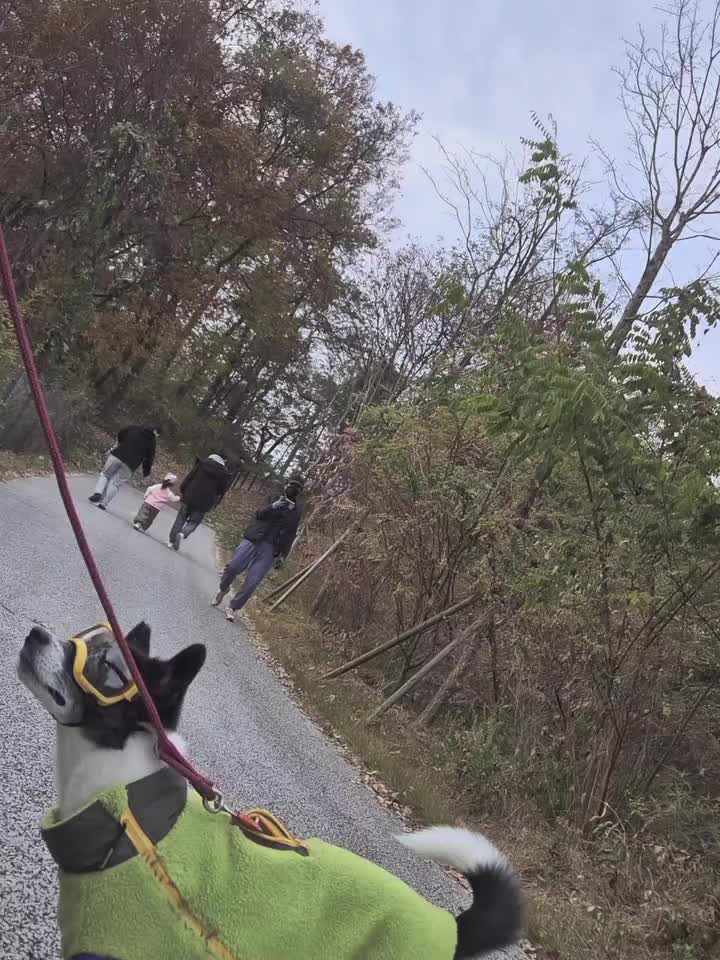 Carousel post from doggy._.potter.