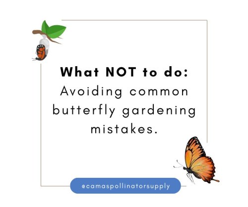 Photo post from camaspollinatorsupply.